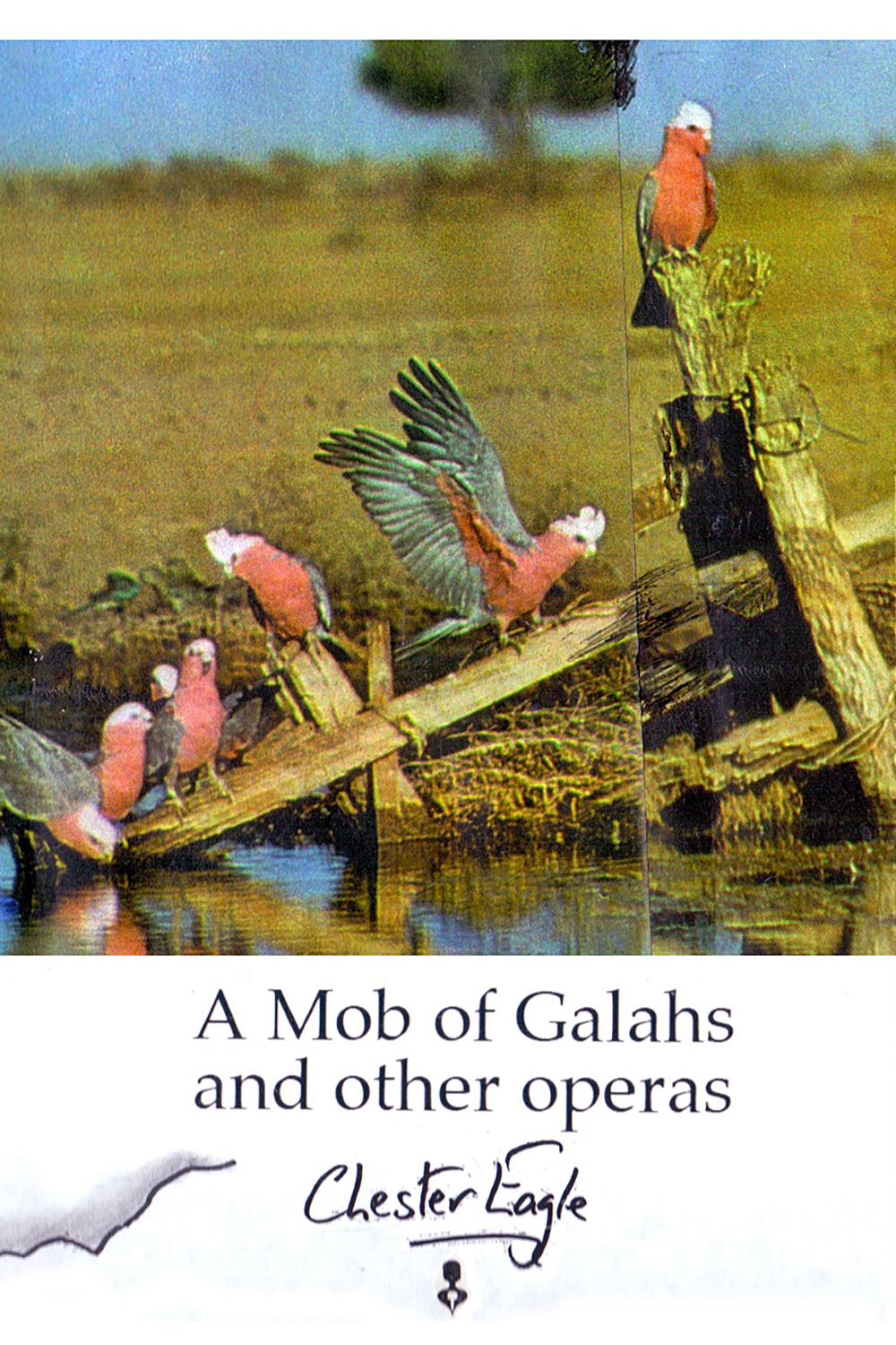A-Mob-Of-Galahs-Cover-02
