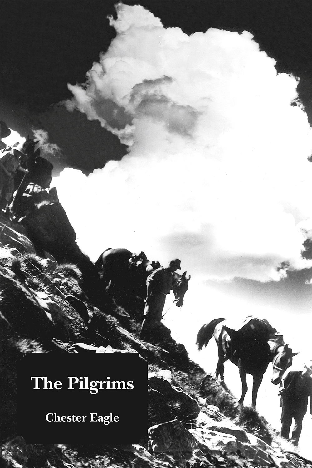 The-Pilgrims-cover-01 The-Pilgrims-cover-01