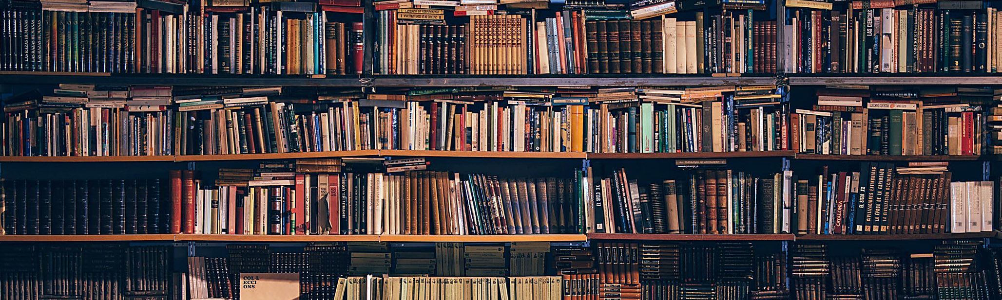 Publishing-Banner-001 Publishing-Banner-001